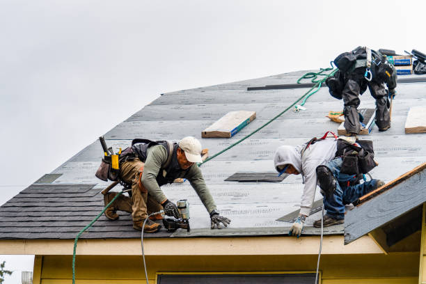 Professional Storm Damage Roof Repair technician working in Canterbury, NH
